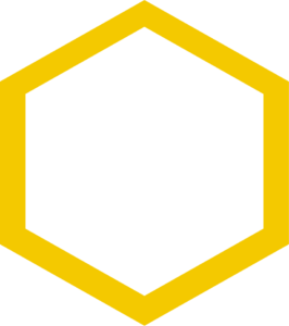 hexagone fin